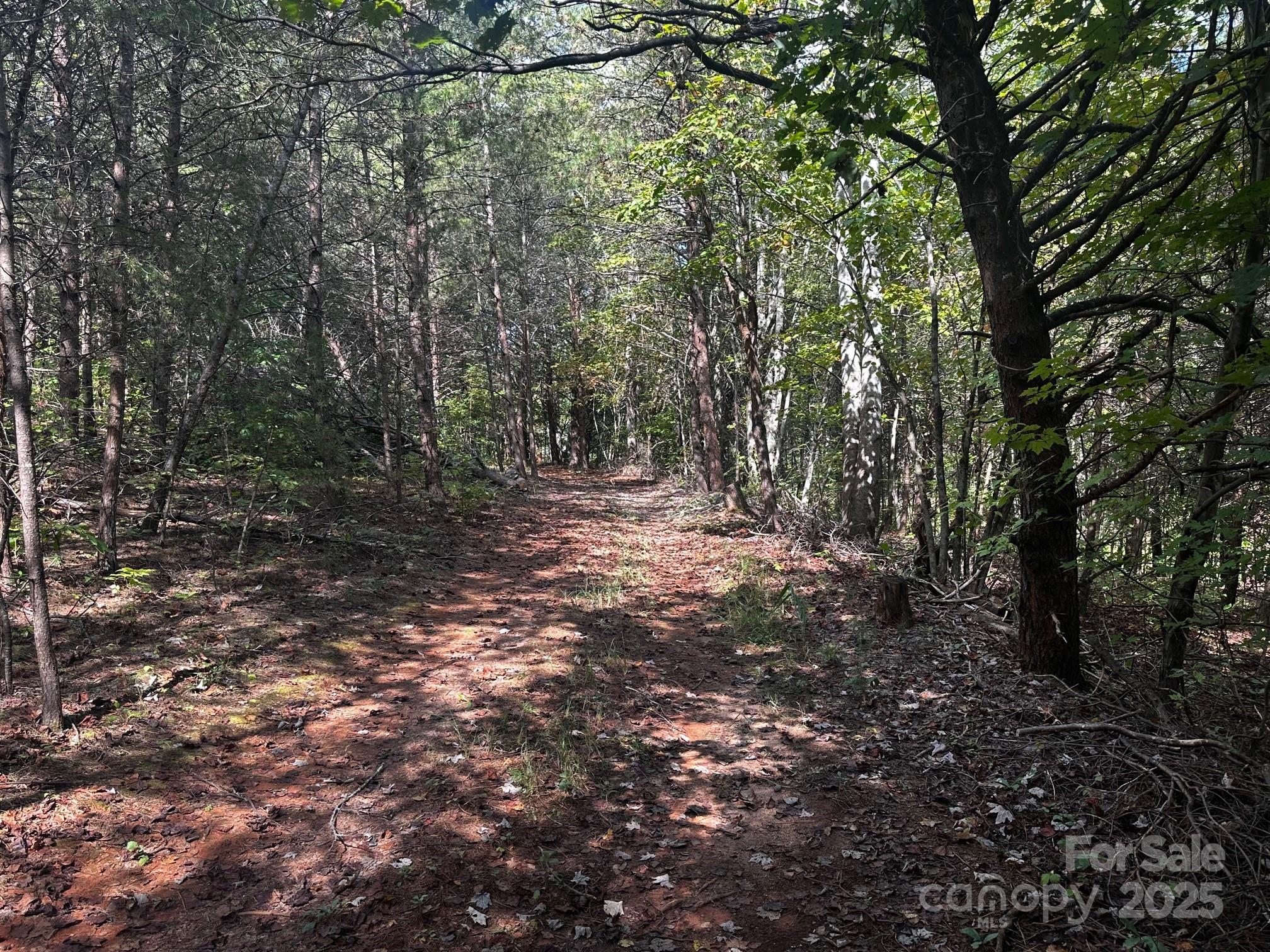 0 Freeman Town Road Lake Lure, NC 28746 - Photo 17 of 22
