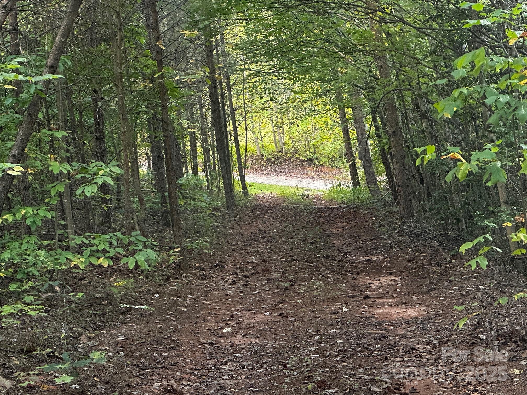 0 Freeman Town Road Lake Lure, NC 28746 - Photo 19 of 22