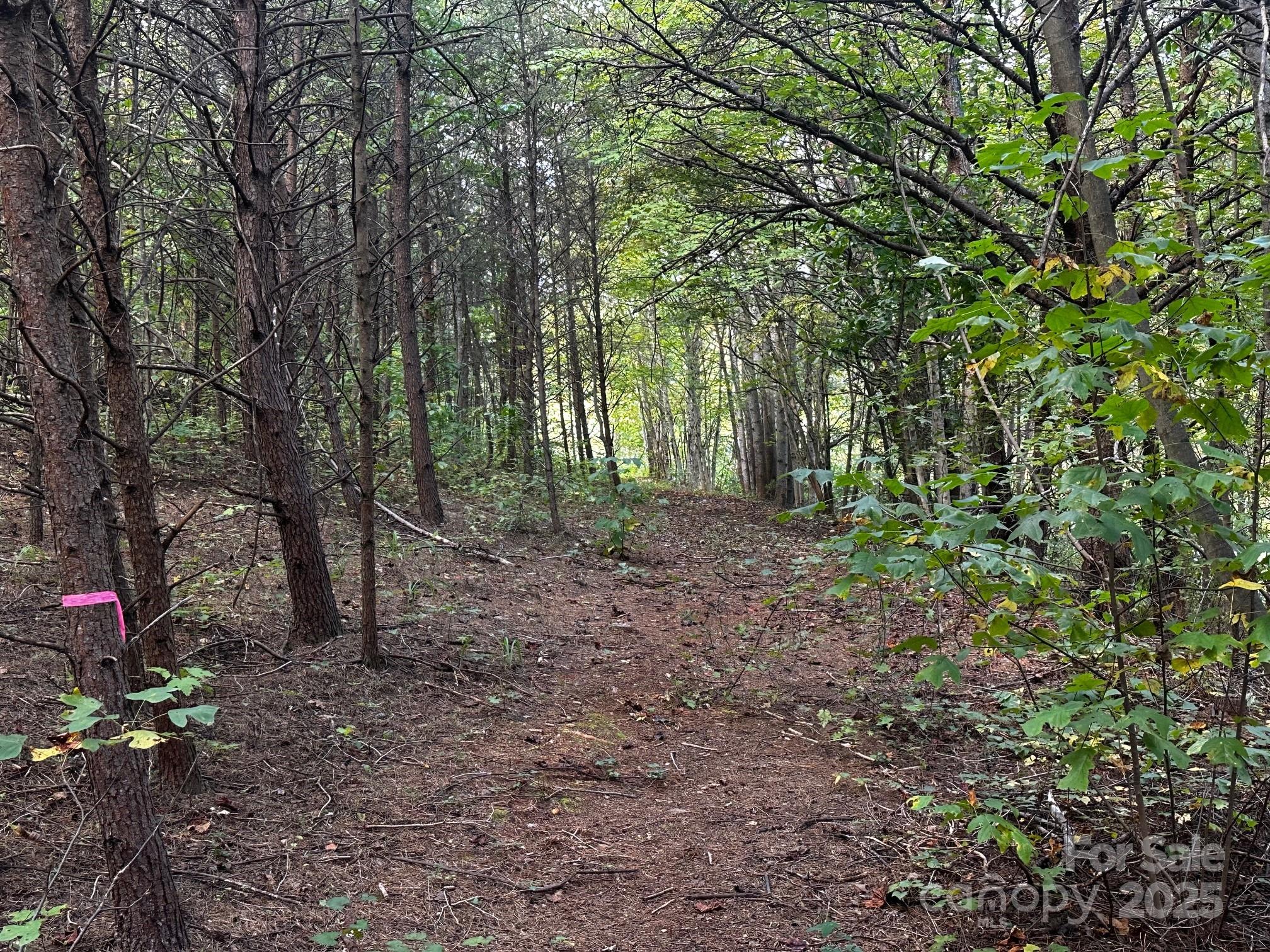 0 Freeman Town Road Lake Lure, NC 28746 - Photo 20 of 22