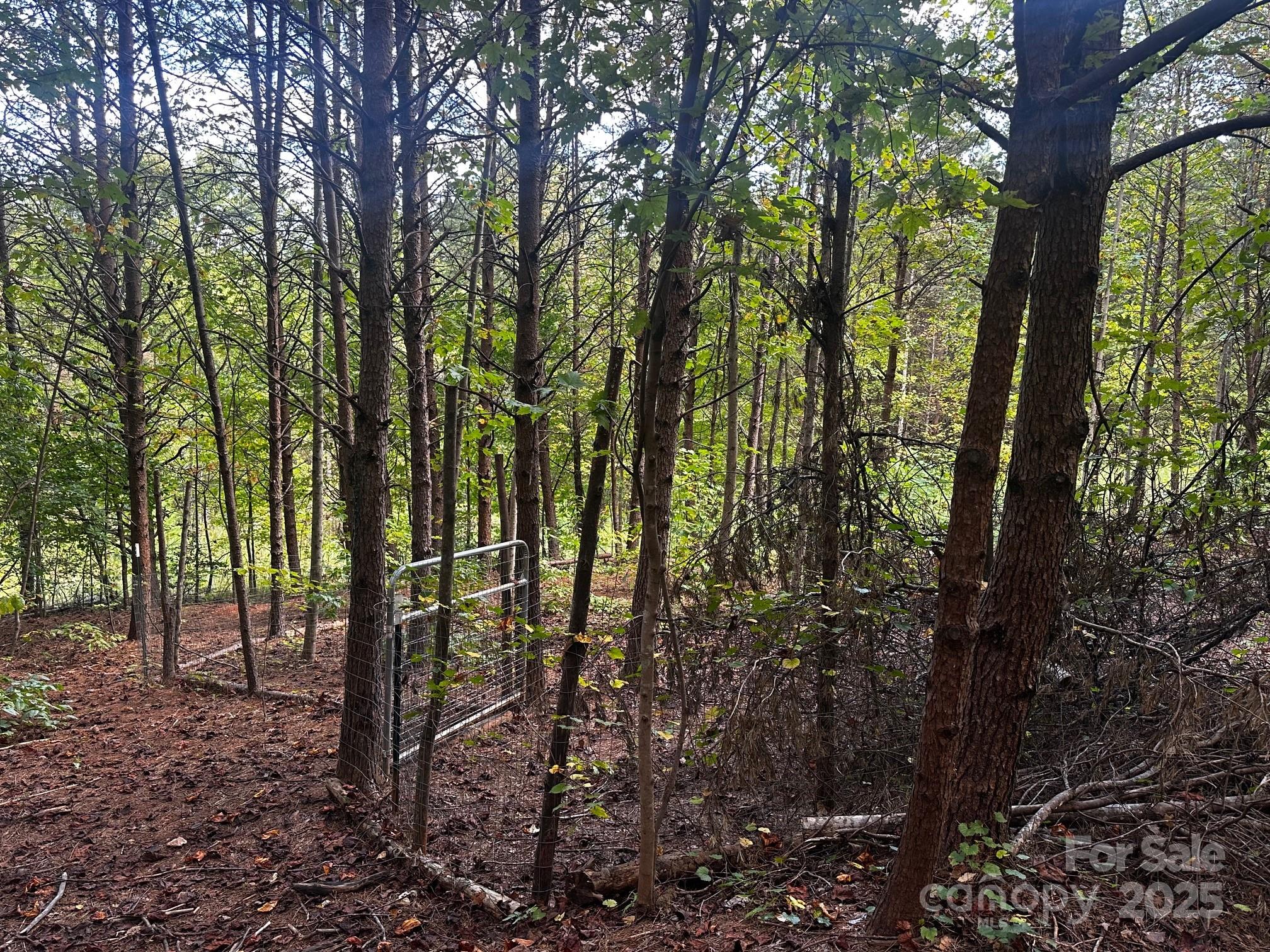 0 Freeman Town Road Lake Lure, NC 28746 - Photo 21 of 22