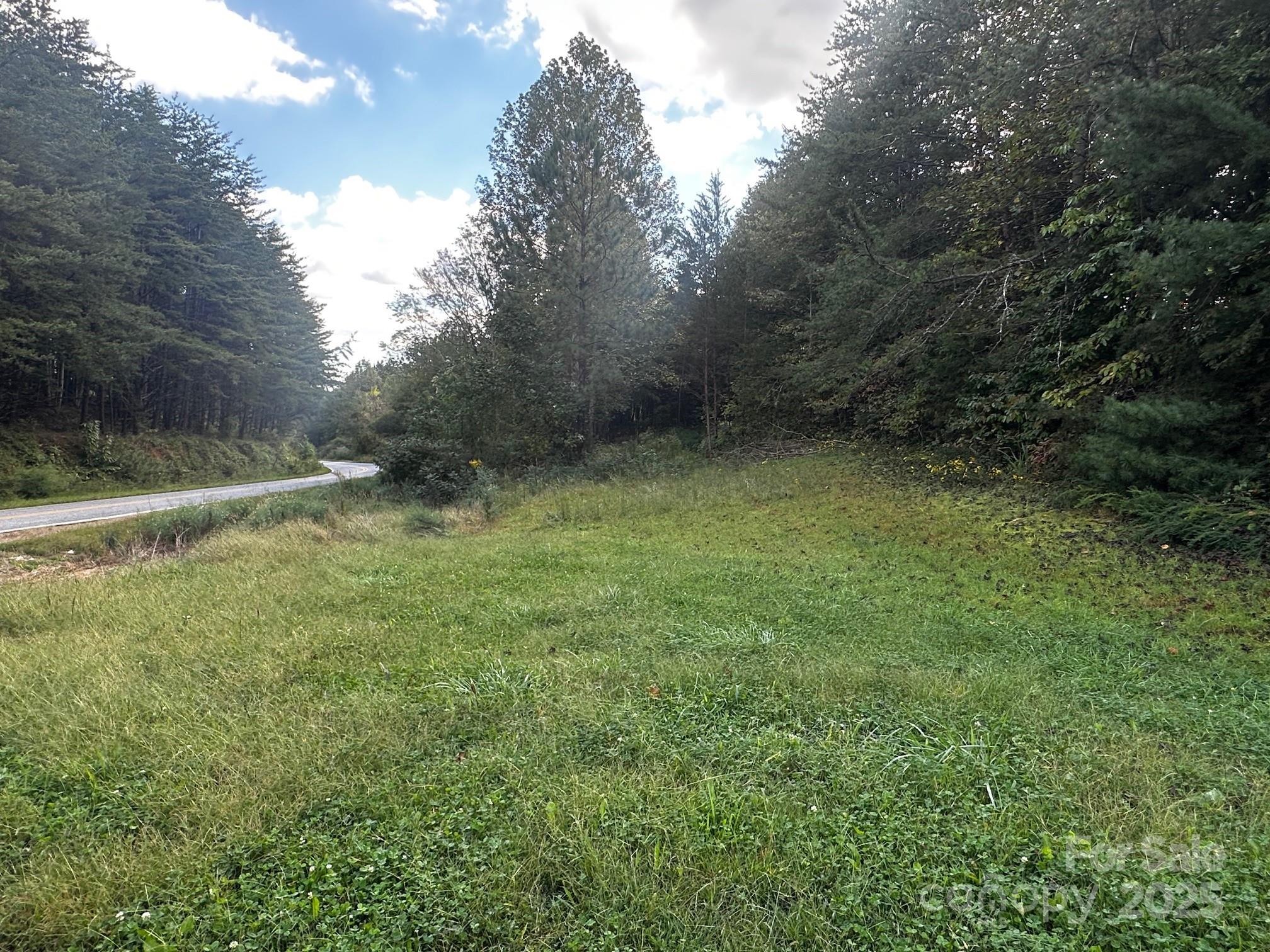 0 Freeman Town Road Lake Lure, NC 28746 - Photo 22 of 22