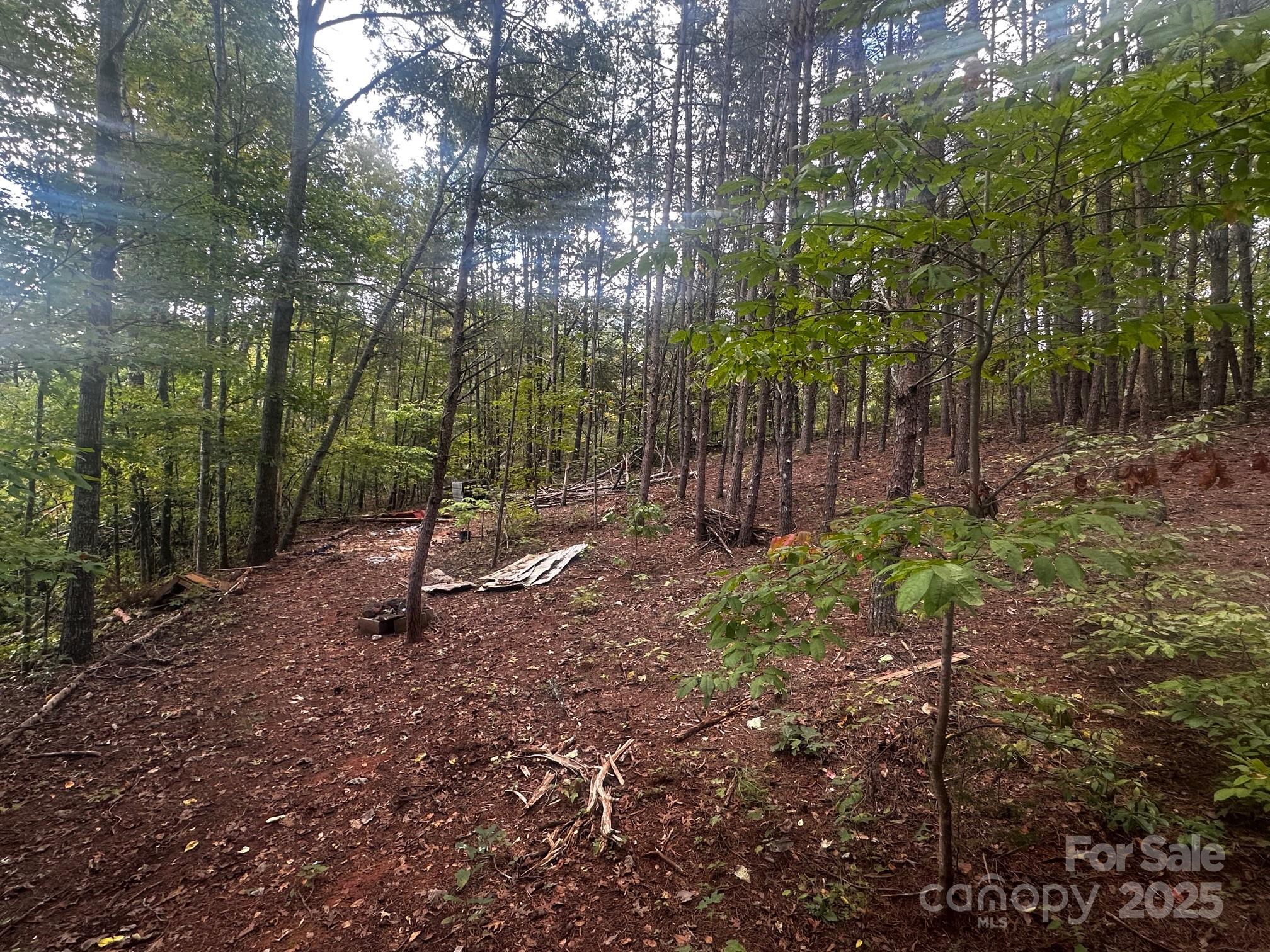 0 Freeman Town Road Lake Lure, NC 28746 - Photo 7 of 22
