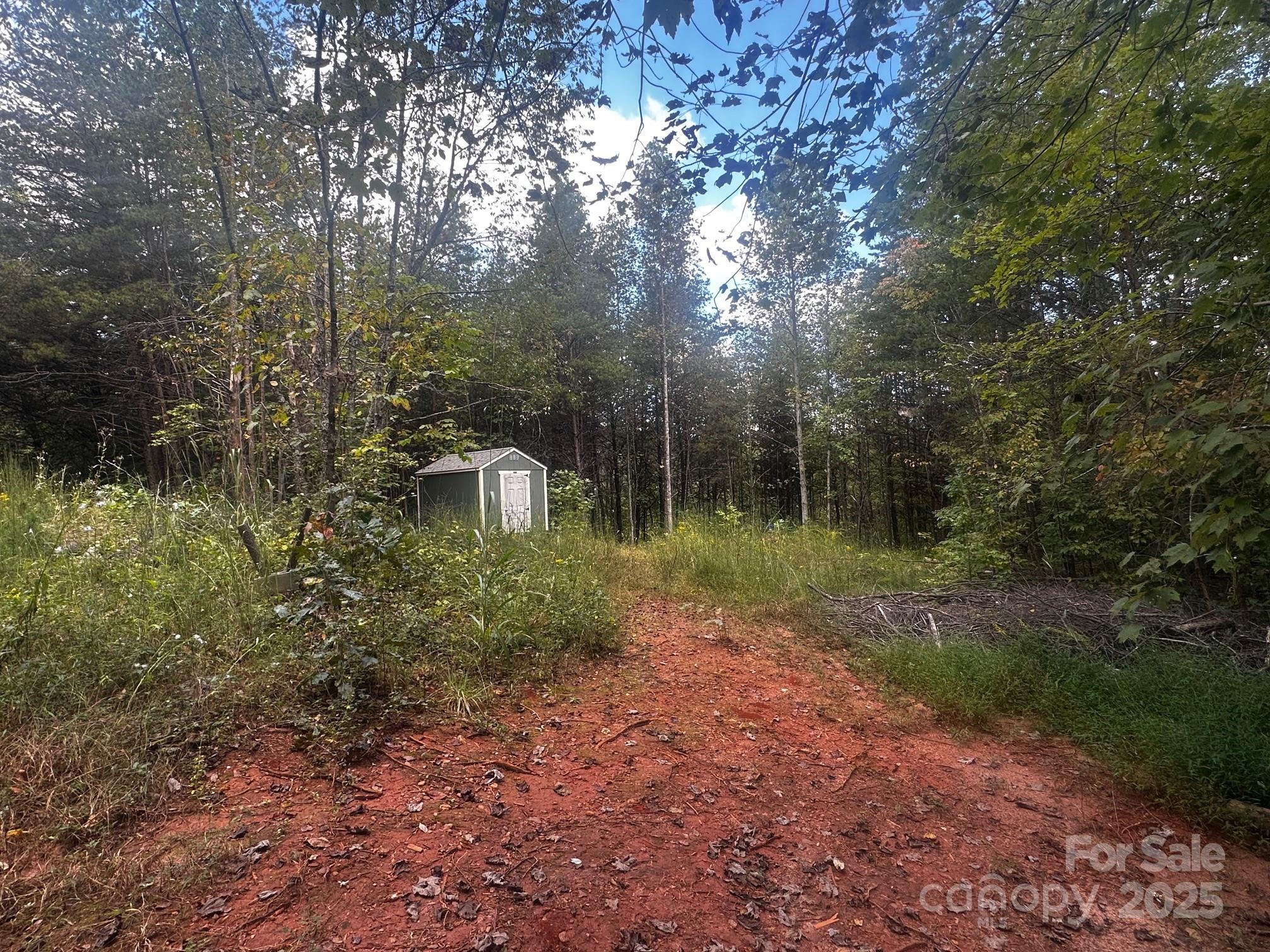 0 Freeman Town Road Lake Lure, NC 28746 - Photo 10 of 22