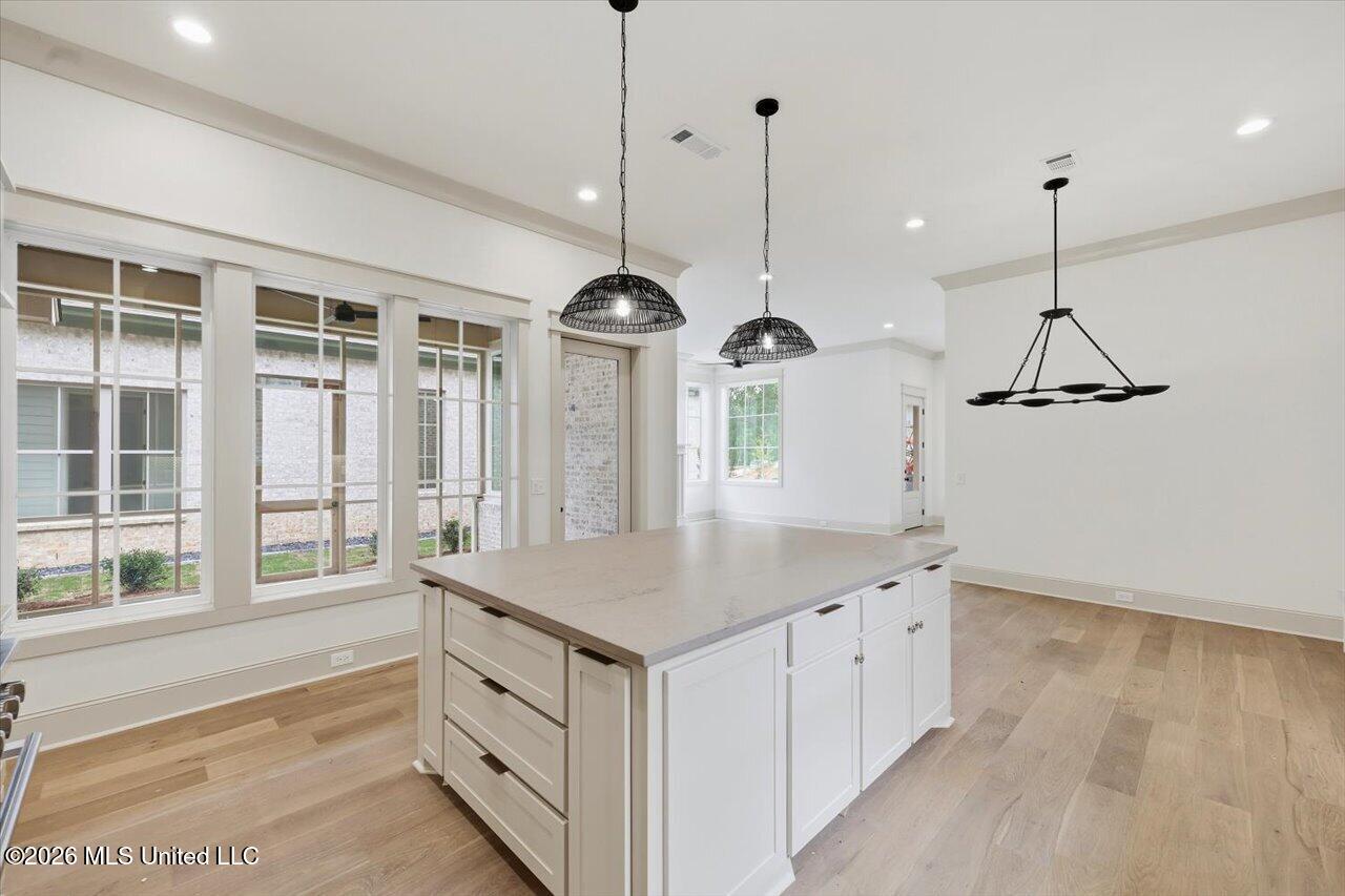 132 Water Street Madison, MS 39110 - Photo 11 of 34 10-132 Water St _ Home Tours MS