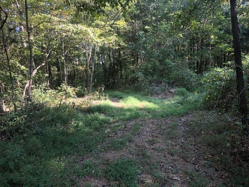 2998 North Toohey Ridge Road Cave City, KY 42127 - Photo 2 of 10 Gallery Image 2
