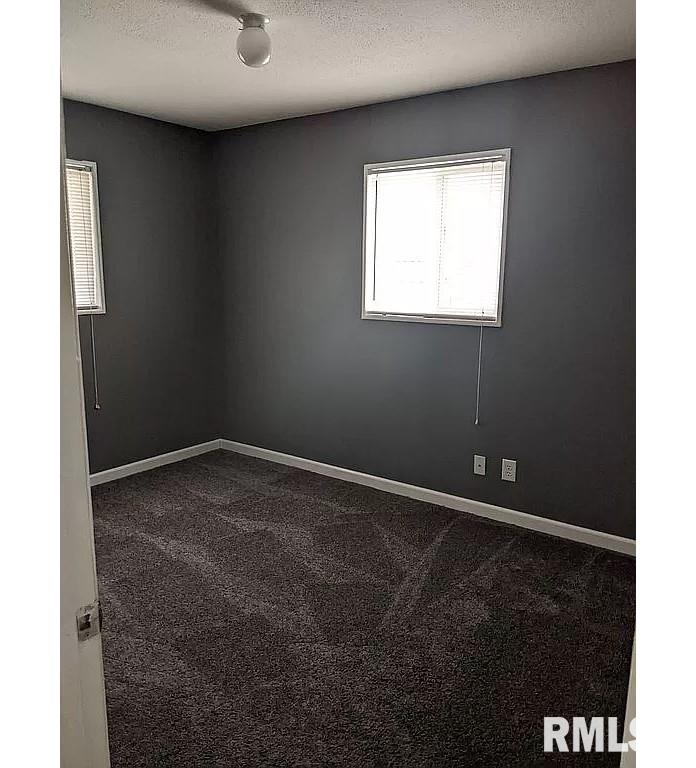 708 North St Marys Avenue Springfield, IL 62702 - Photo 17 of 18 Gallery Image 17