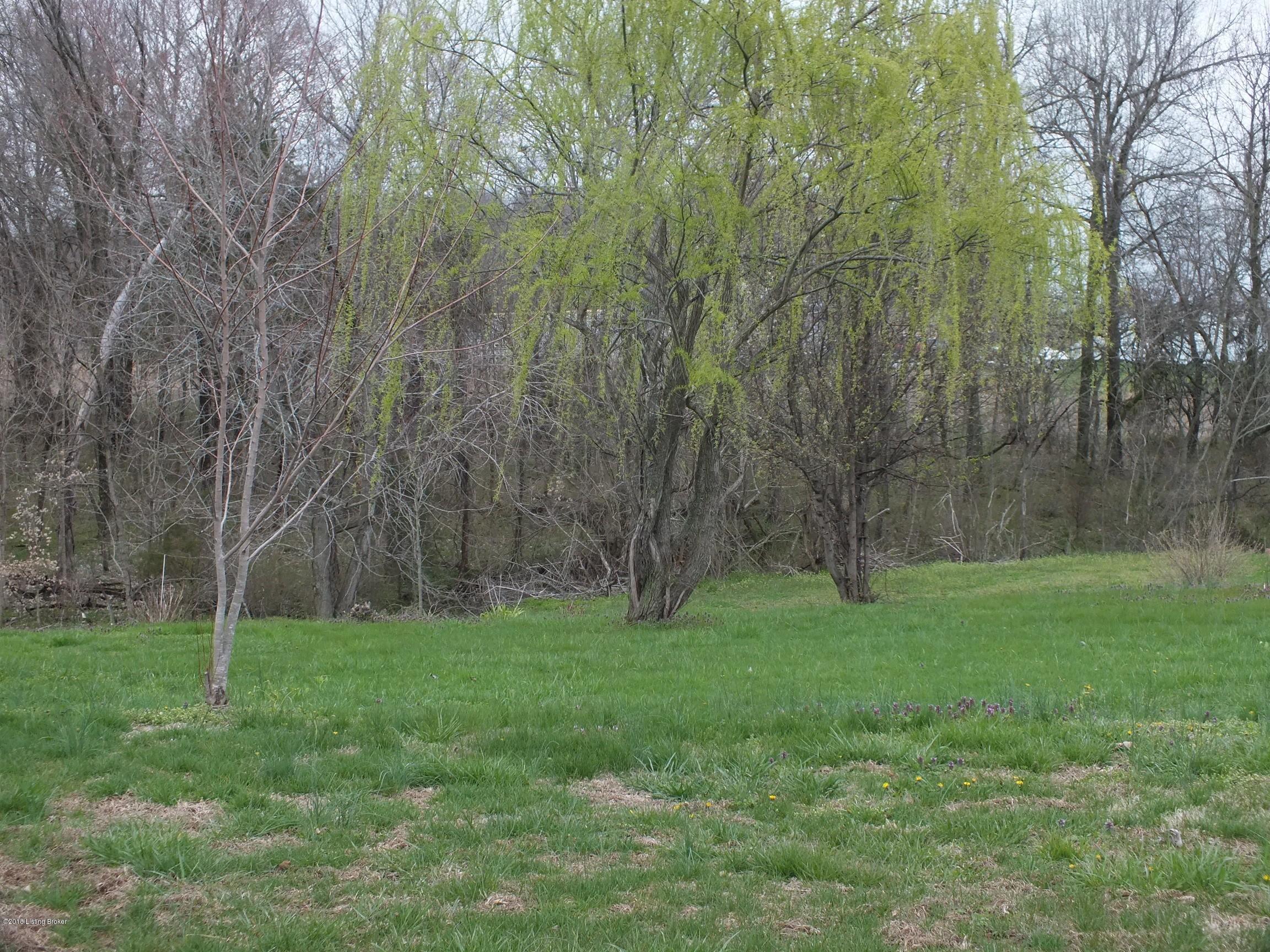 8920 Beaver Dam Road Caneyville, KY 42721 - Photo 22 of 29 Image00020Beaver Dam Rd