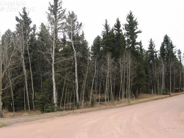 958 Kutsu Ridge Road Florissant, CO 80816 - Photo 1 of 11 Gallery Image 1