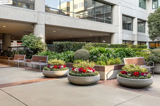 a view of a backyard with table and chairs potted plants
