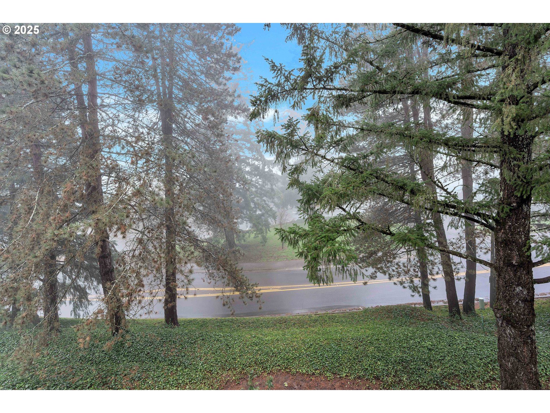 35 Oswego Lake Oswego, OR 97035 - Photo 26 of 31