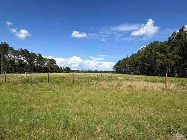 $217,000 | 4400 South Highway 99, Walnut Hill, FL 32568