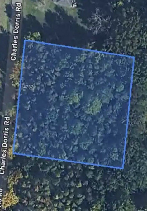 0 Charles Dorris Road Springfield, TN 37172 - Photo 2 of 2