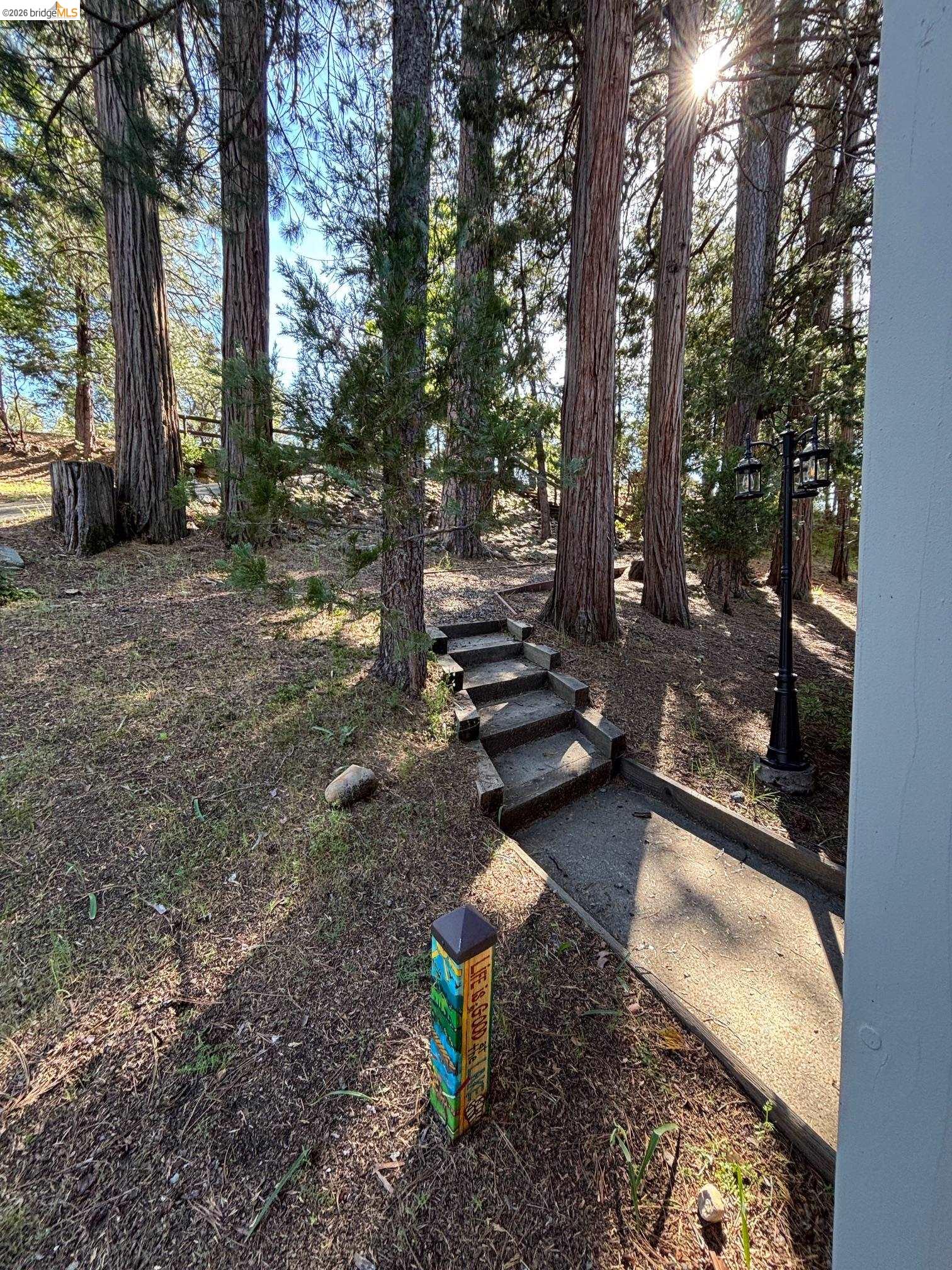 20728 Point View Drive Groveland, CA 95321 - Photo 43 of 45 a view of a backyard with large trees