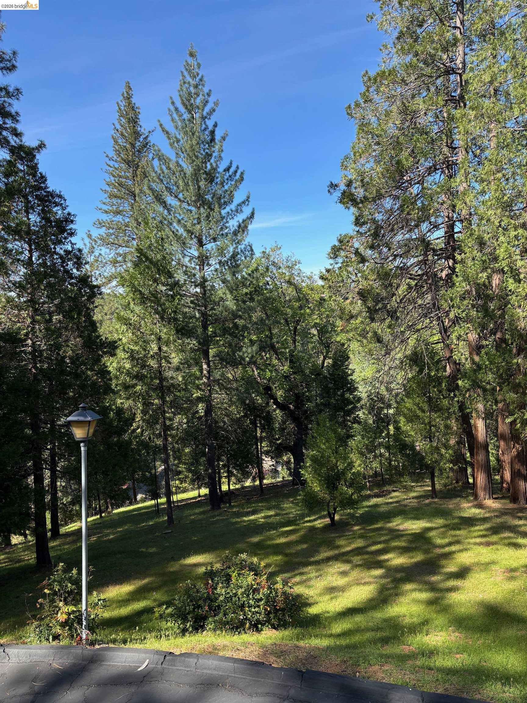 20728 Point View Drive Groveland, CA 95321 - Photo 45 of 45 a view of a yard with a trees