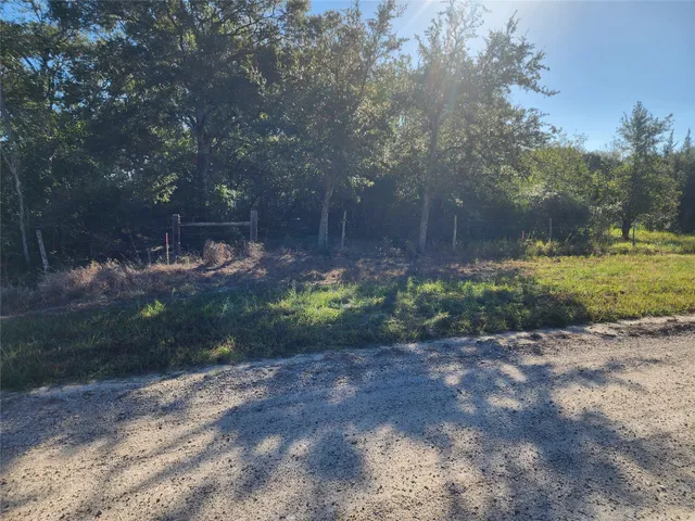 a outdoor space with lots of trees