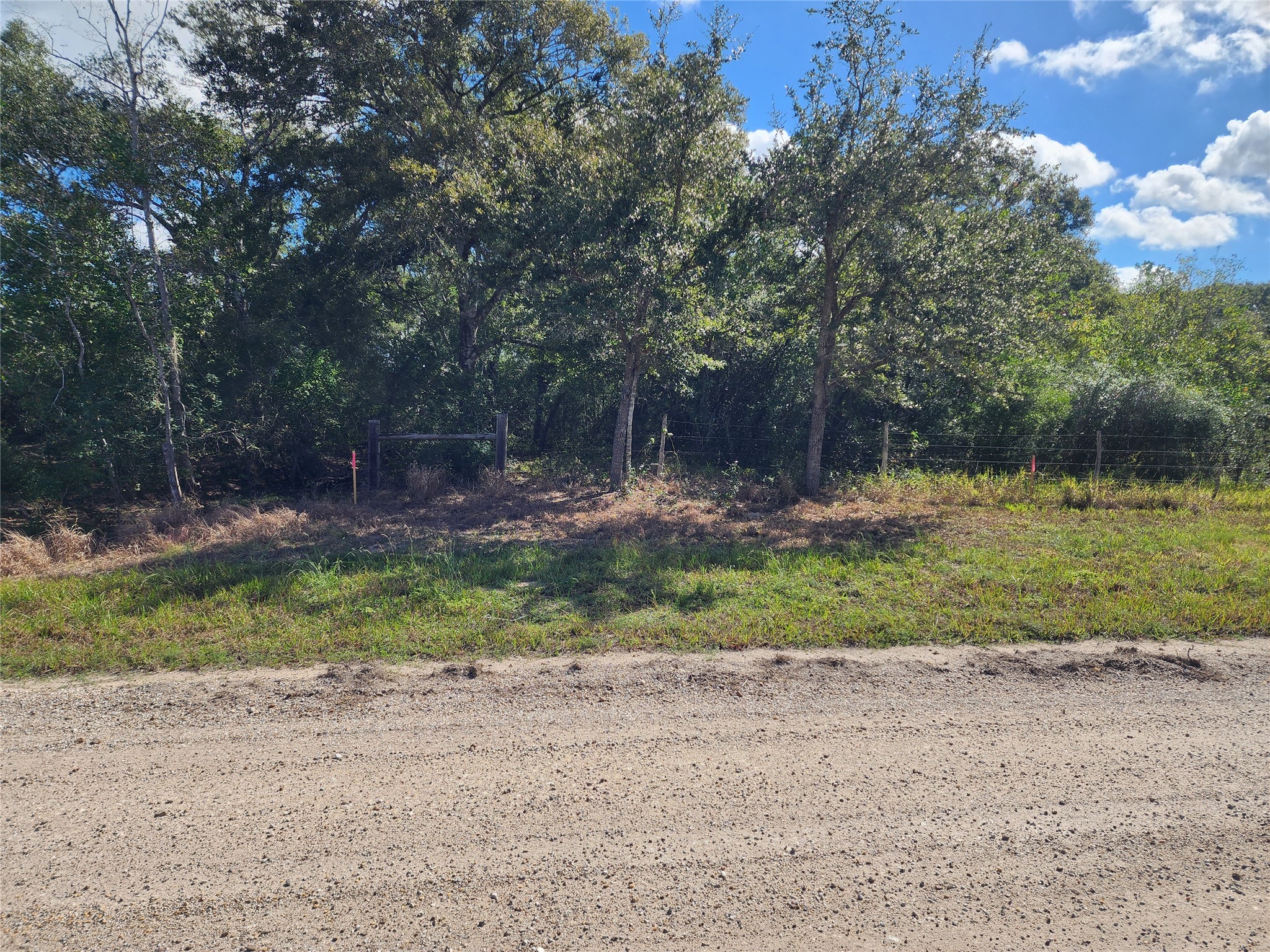 0 Fm 445 Street South Louise, TX 77455 - Photo 15 of 17 a view of backyard