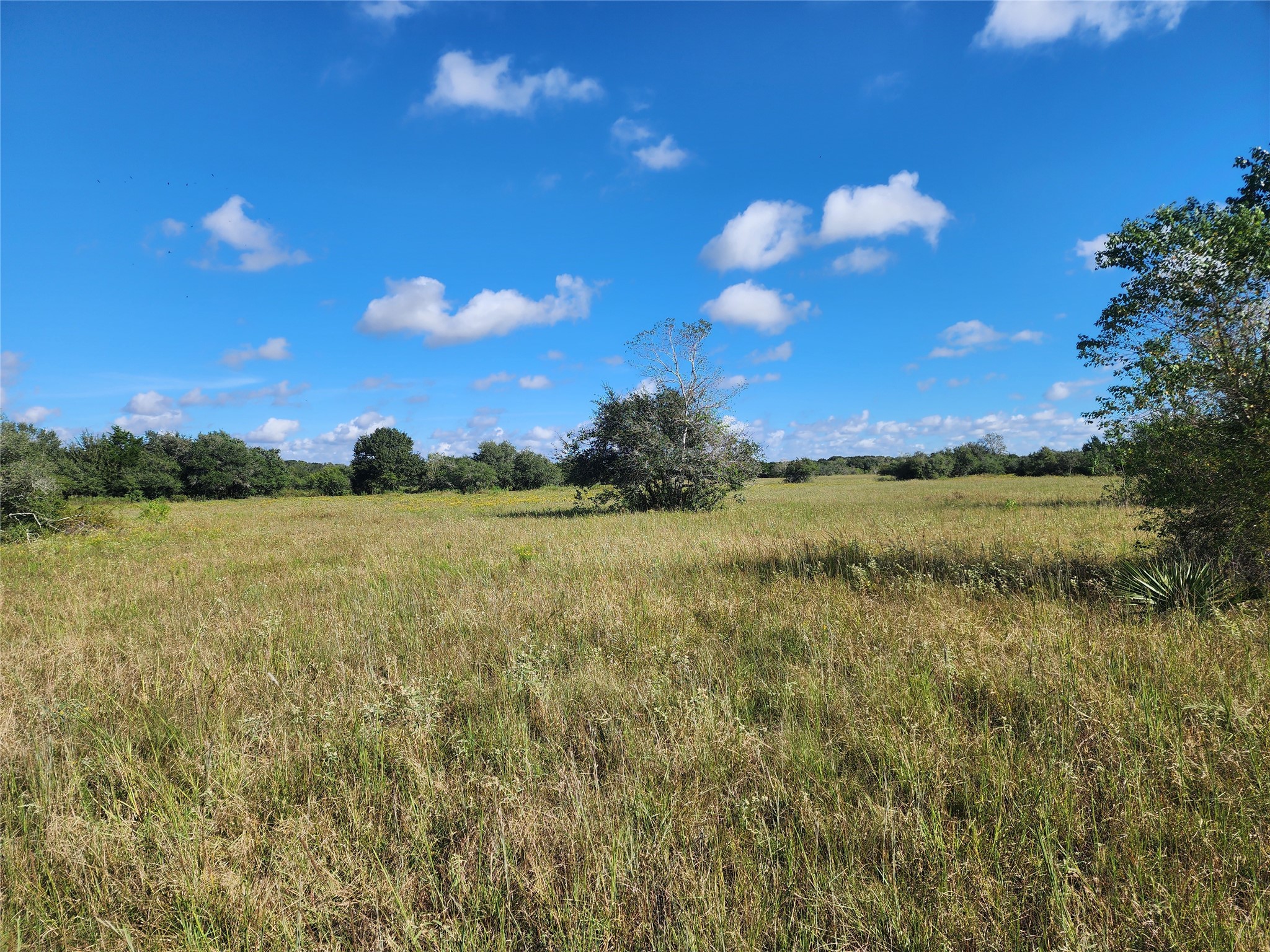 0 Fm 445 Street South Louise, TX 77455 - Photo 2 of 17 a view of a lake and sunset