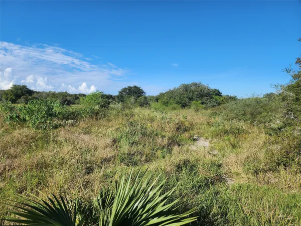 a view of a field of grass and trees
