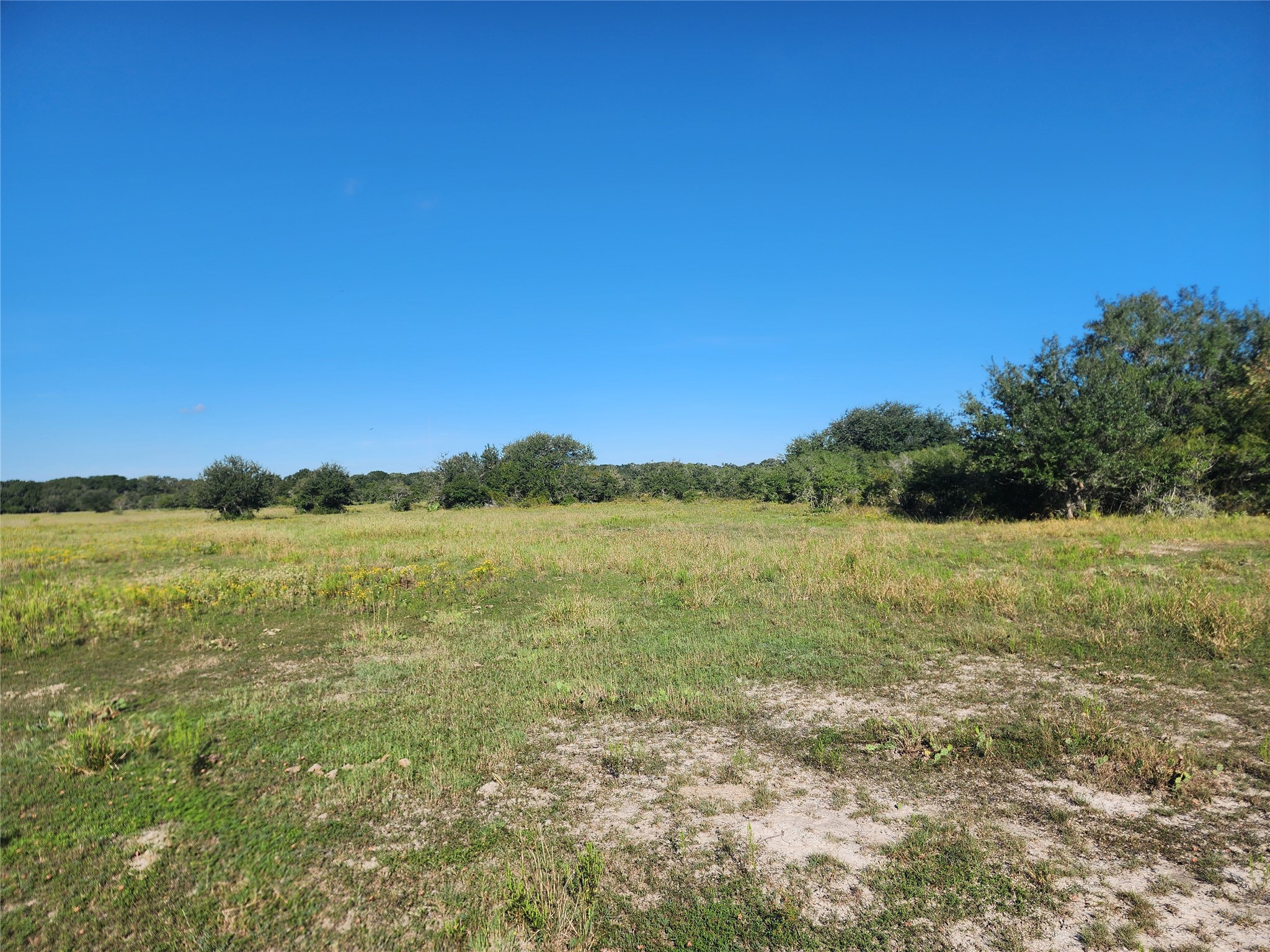 0 Fm 445 Street South Louise, TX 77455 - Photo 5 of 17 a view of lake with mountain in the background