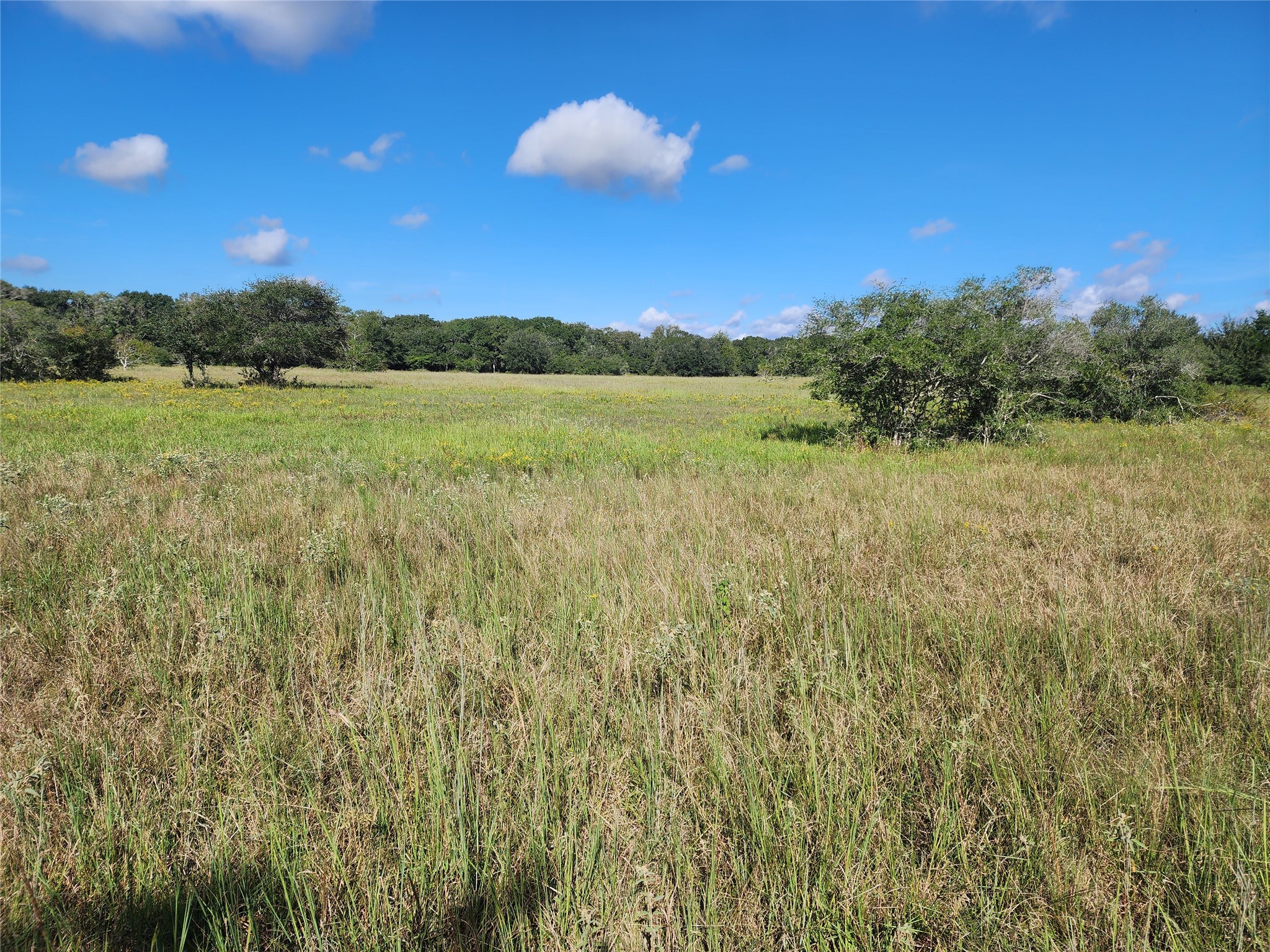 0 Fm 445 Street South Louise, TX 77455 - Photo 6 of 17 a view of a lake with a yard