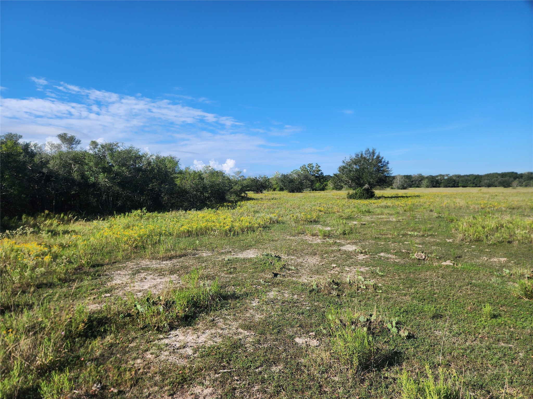 0 Fm 445 Street South Louise, TX 77455 - Photo 7 of 17 a view of an ocean from a yard