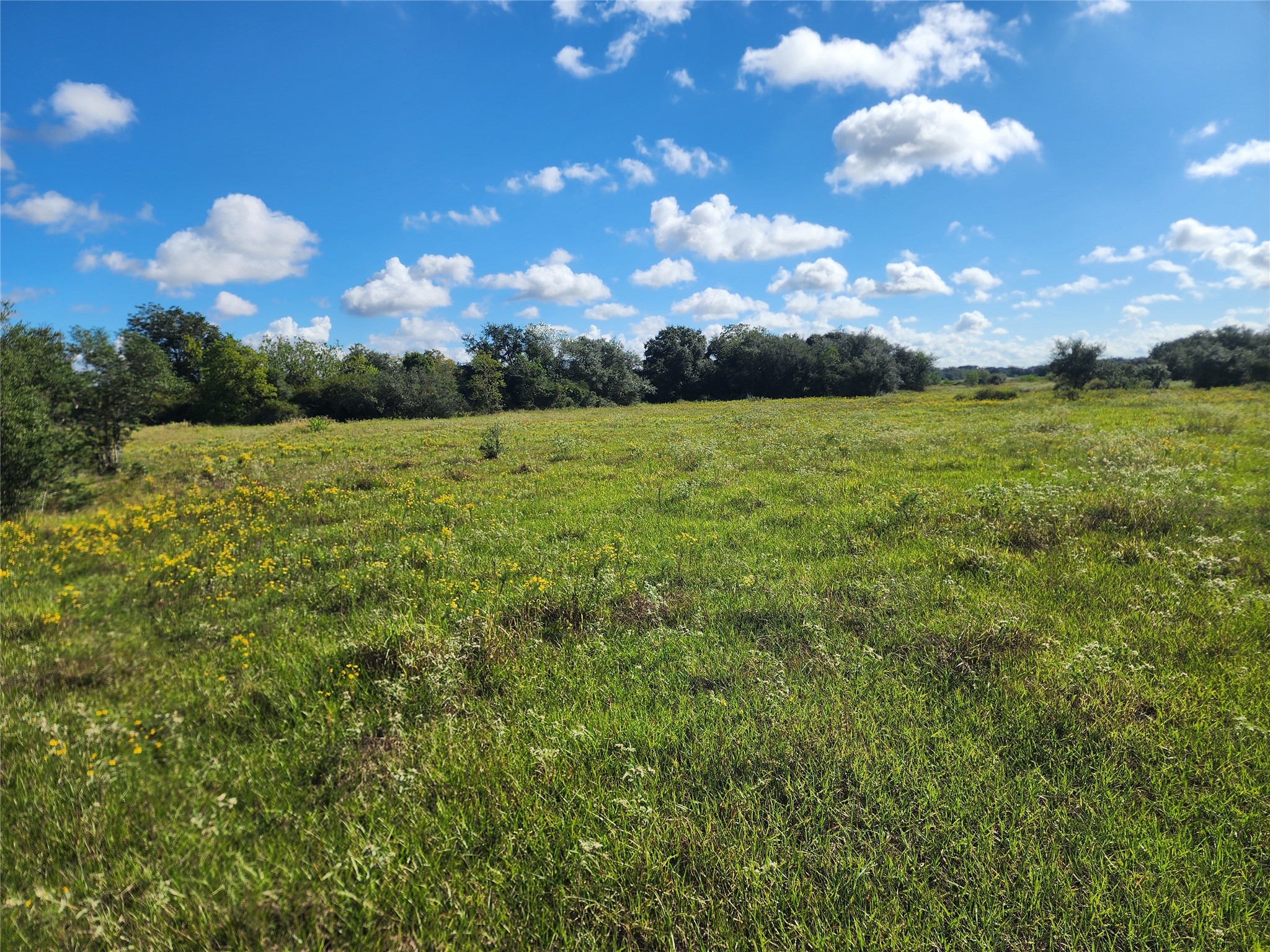 0 Fm 445 Street South Louise, TX 77455 - Photo 8 of 17 a view of a big yard with an outdoor space and seating
