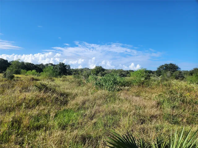 a view of a lake with a city
