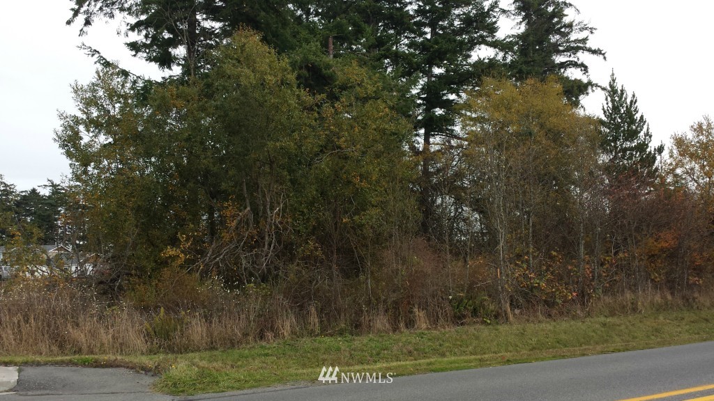 0 Ridgeway Drive Oak Harbor, WA 98277 - Photo 1 of 5 Gallery Image 1