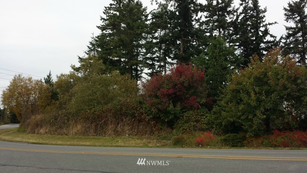0 Ridgeway Drive Oak Harbor, WA 98277 - Photo 4 of 5 Gallery Image 4