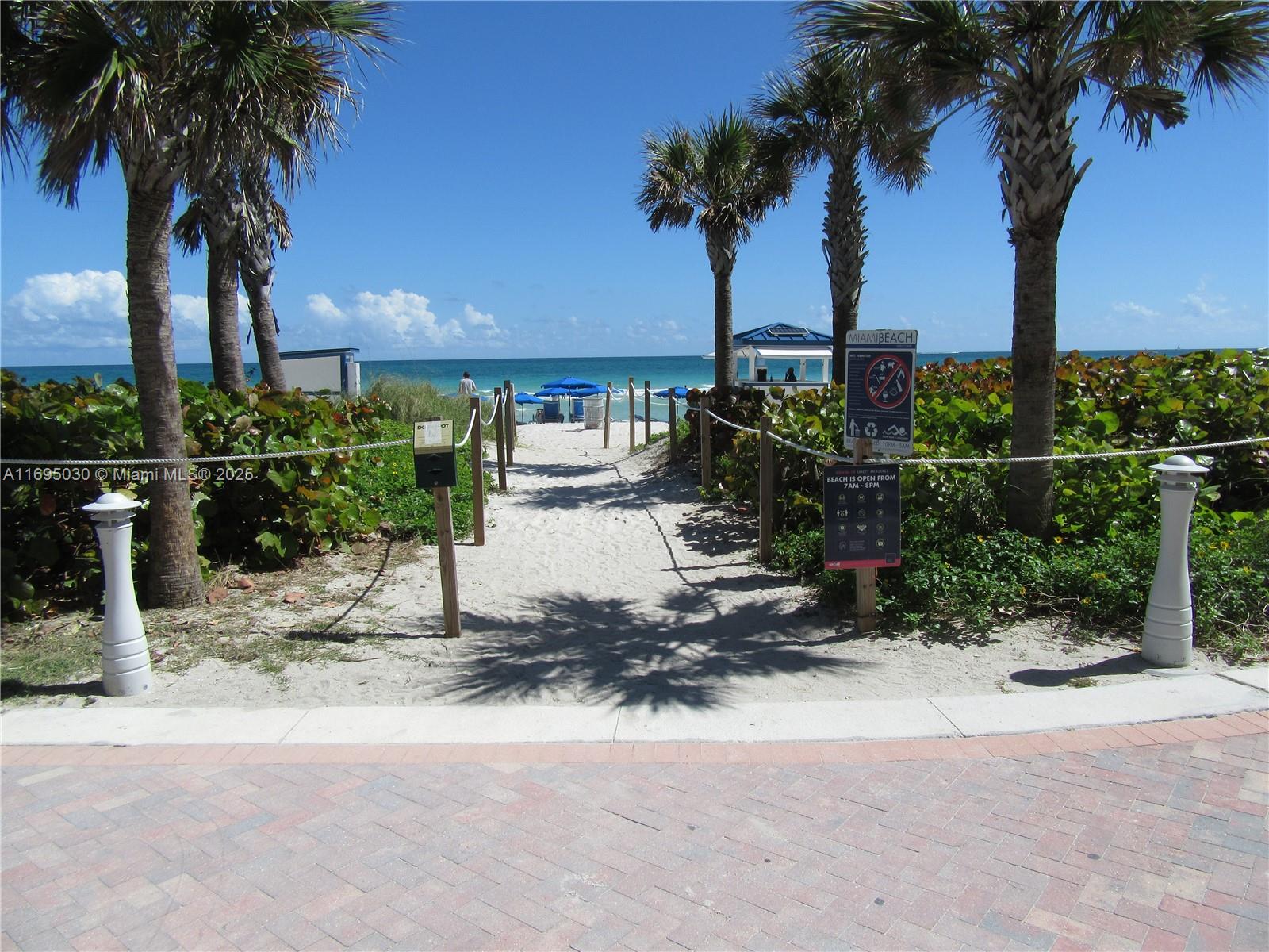 6365 Collins Avenue, Unit 1008 Miami Beach, FL 33141 - Photo 48 of 49 a view of a palm tree next to a tall building