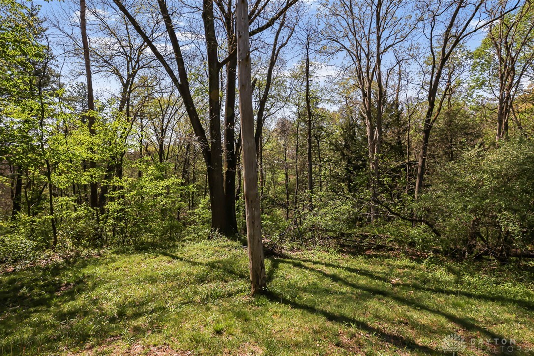 2390 Ridge Road Zanesville, OH 43701 - Photo 34 of 45 This verdant expanse offers a serene woodland setting, perfect for a private retreat.