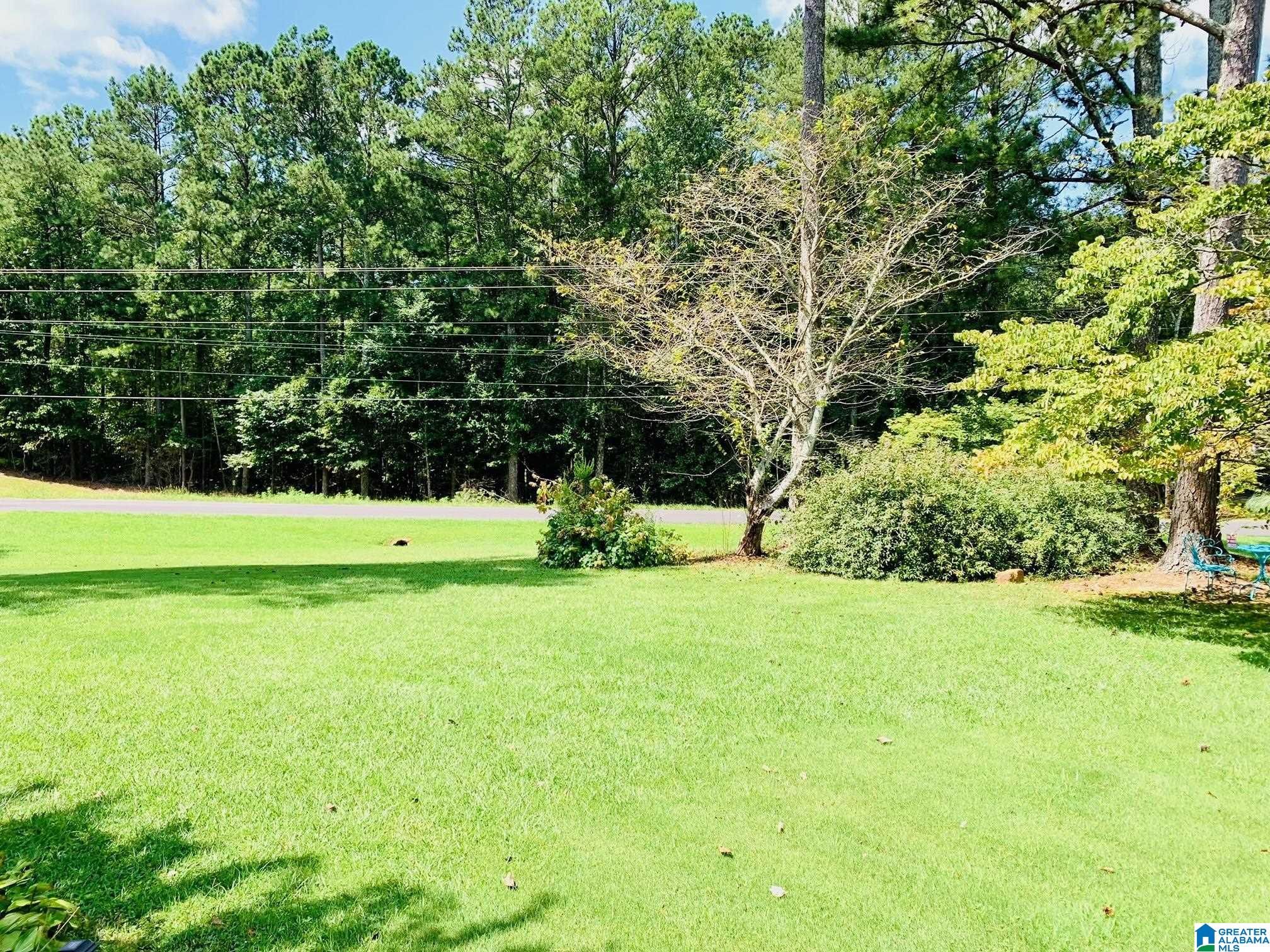 895 Evans Bridge Road Heflin, AL 36264 - Photo 19 of 54