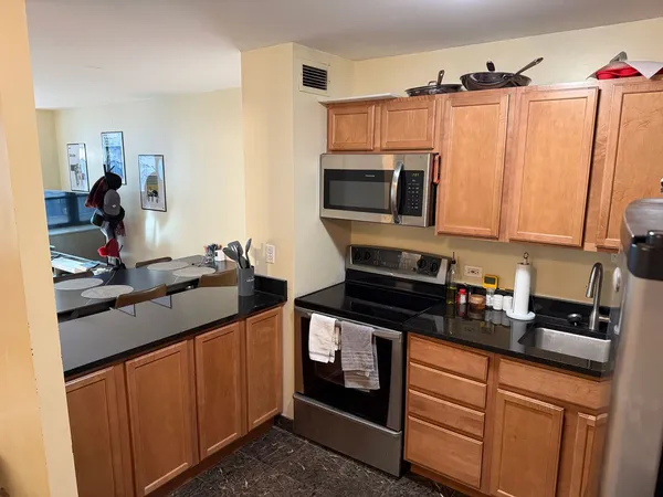 $2,200 | 222 East Pearson Street, Unit 303, Chicago, IL 60611