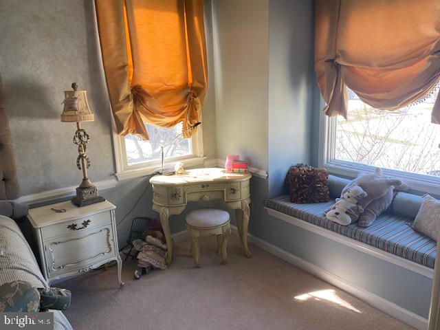 1446 West Rockspray Road Jamison, PA 18929 - Photo 34 of 57 Window seat in bedroom
