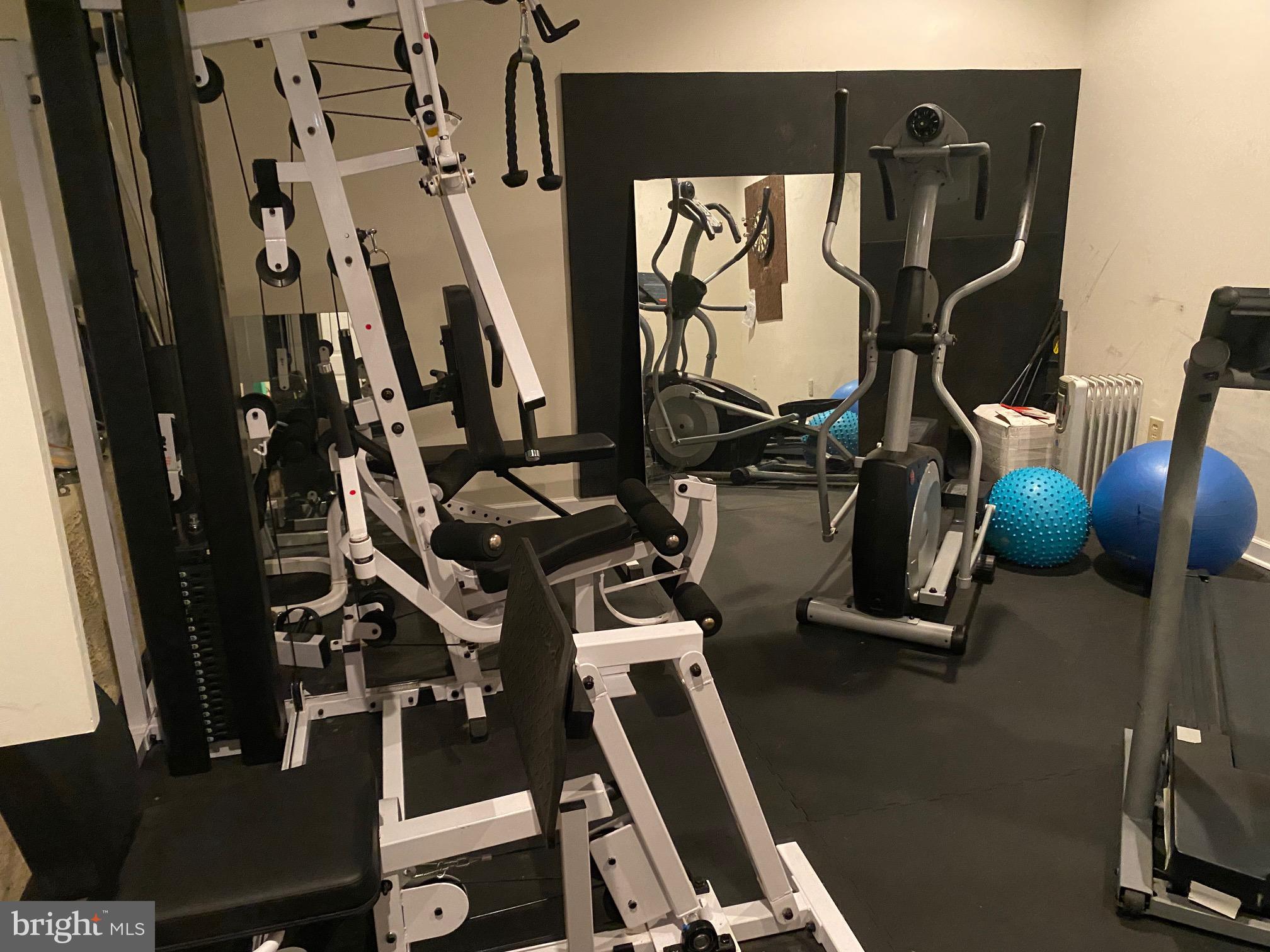 1446 West Rockspray Road Jamison, PA 18929 - Photo 41 of 57 Basement gym