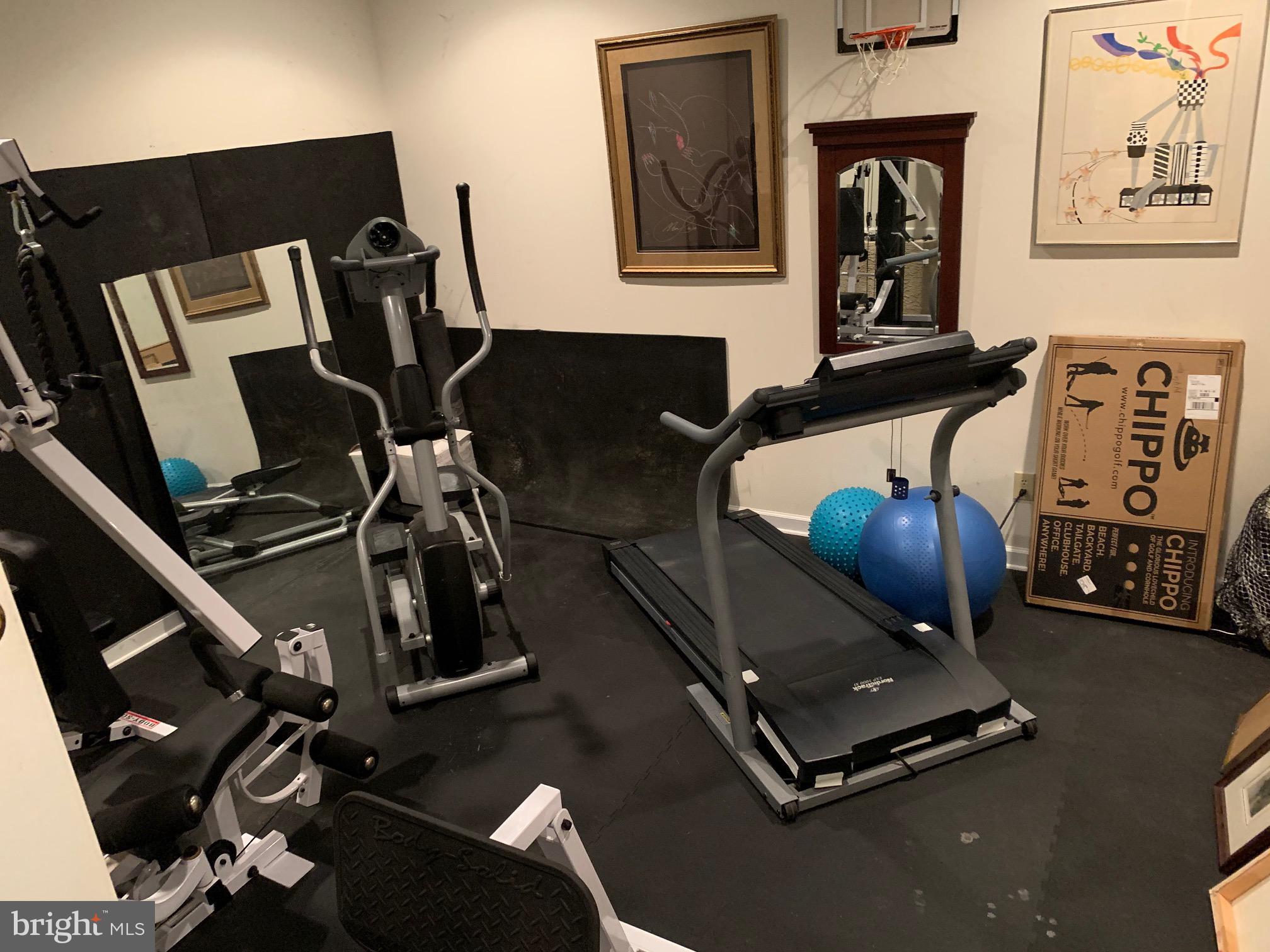 1446 West Rockspray Road Jamison, PA 18929 - Photo 49 of 57 Gym in basement