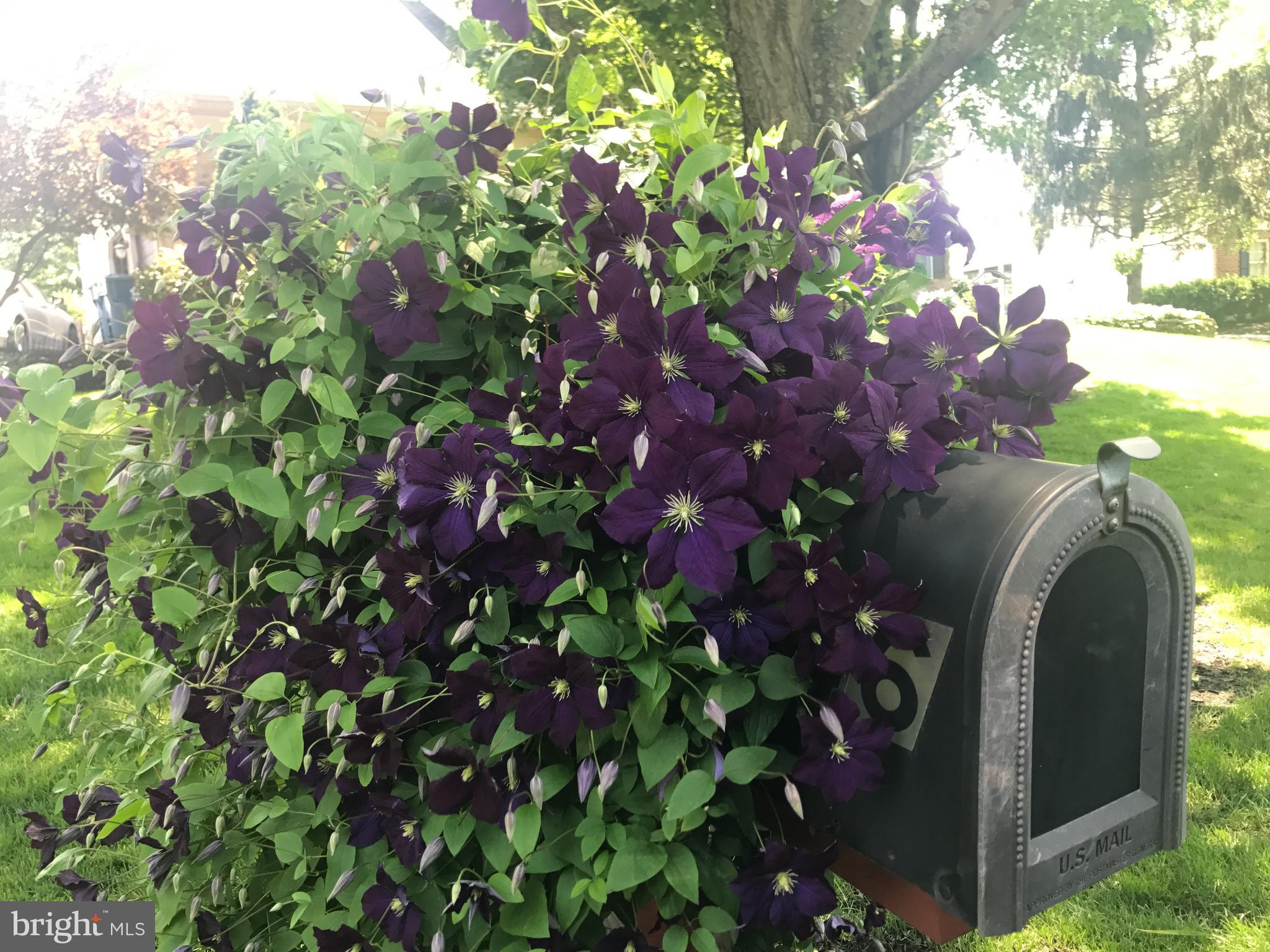 1446 West Rockspray Road Jamison, PA 18929 - Photo 57 of 57 Even the mailbox looks pretty in Spring!
