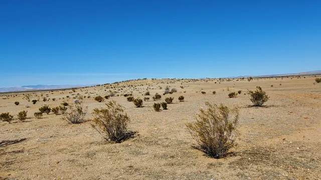 $10,950 | Boros Street, North Edwards, CA 93523