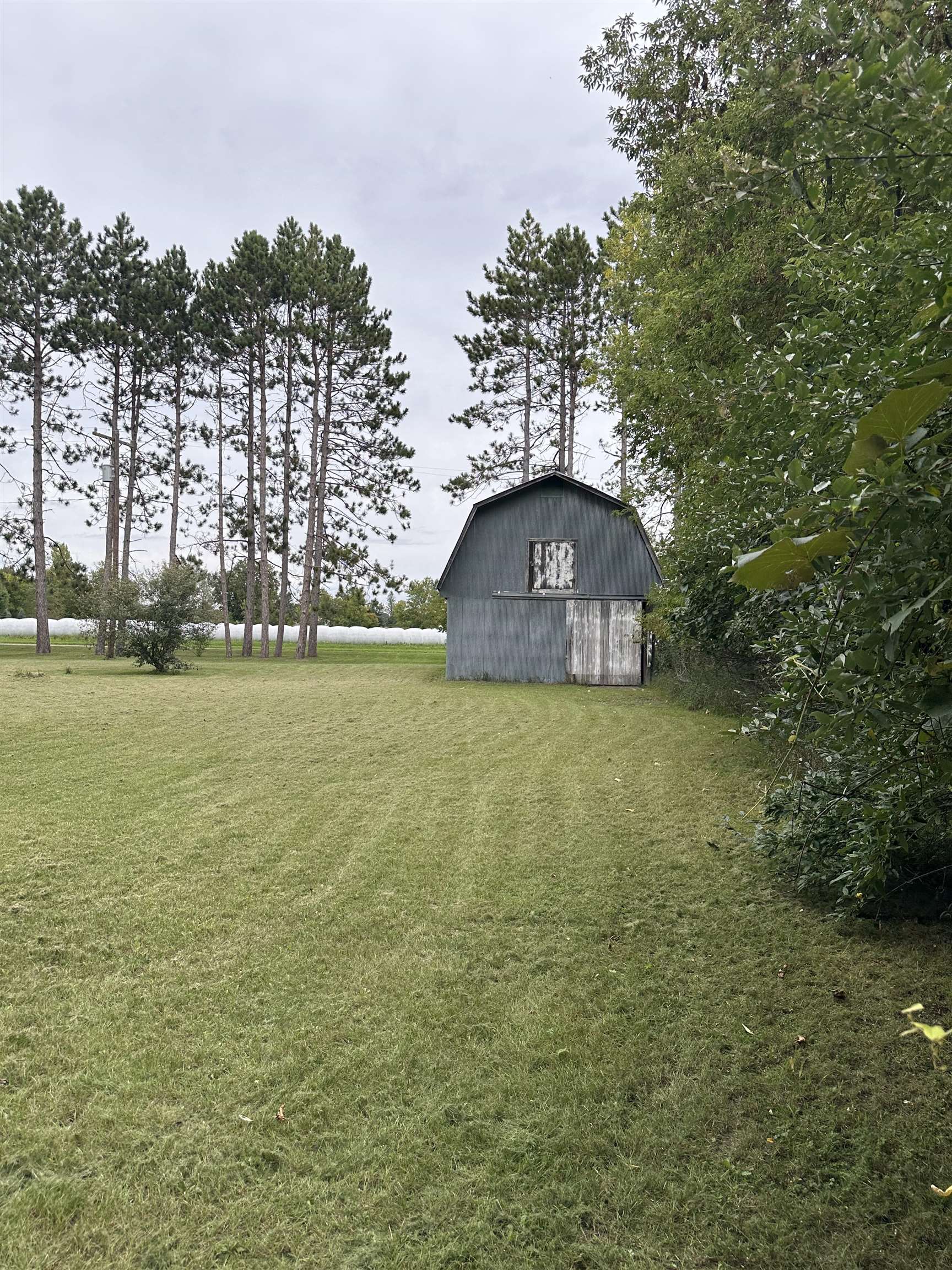 491 Brown Road Standish, MI 48658 - Photo 12 of 52 1950781-89a1609f-0175-44a2-8f64-738b22c9fb1d.JPG
