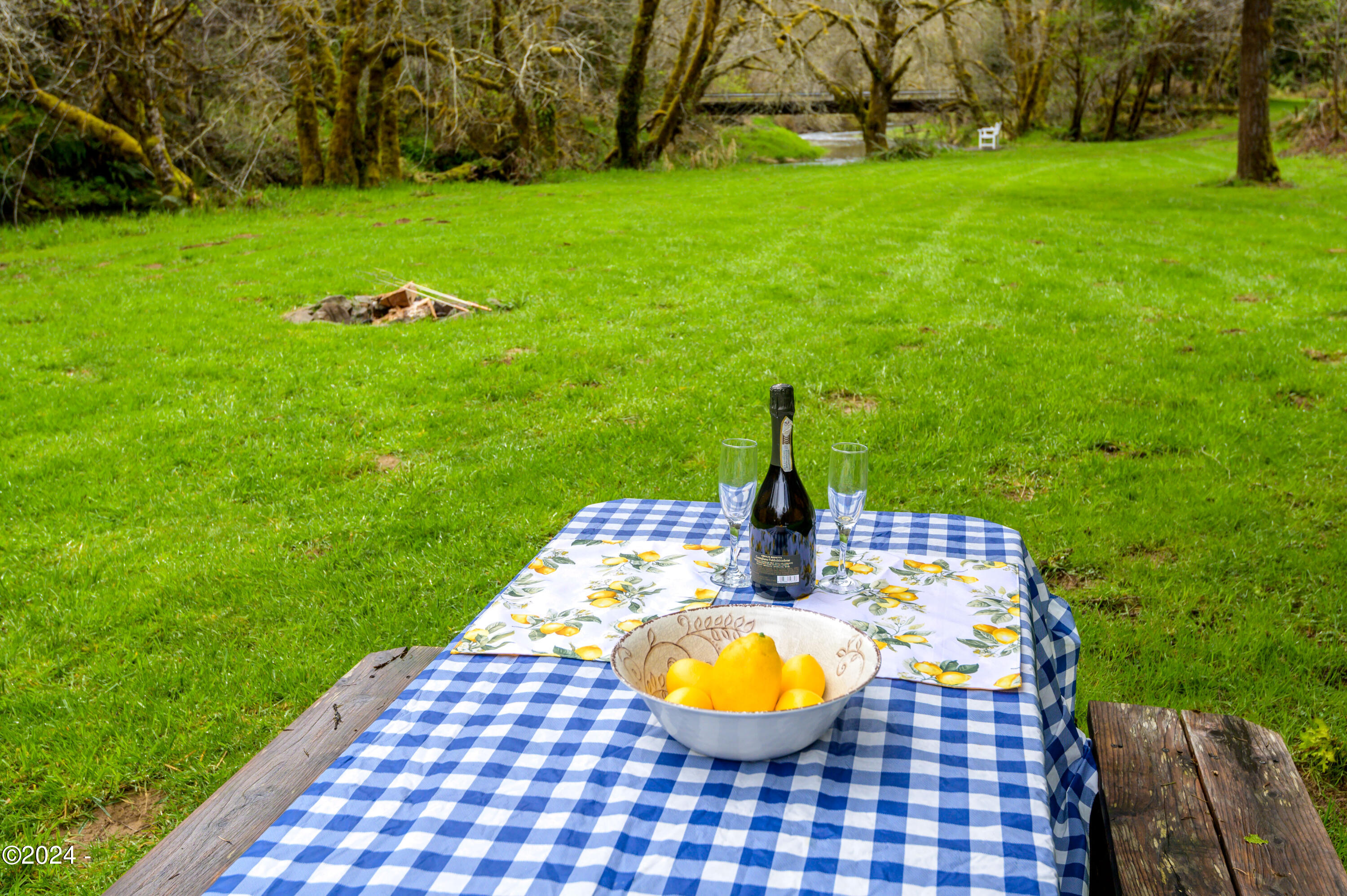 540 Big Rock Creek Road Blodgett, OR 97326 - Photo 36 of 54 Picnic area at the campsite