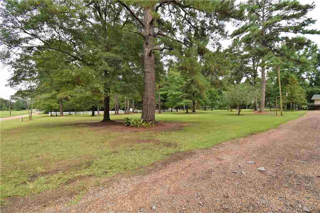 151 Taylor Road Dry Prong, LA 71423 - Photo 38 of 49 Gallery Image 38