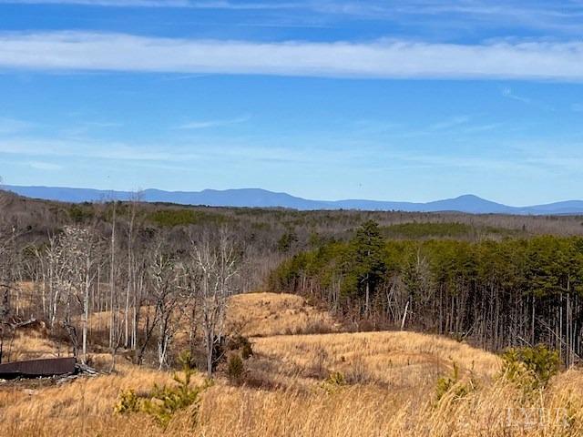 0 Oak Ridge Rd/ Colemans Mill Road Appomattox, VA 24522 - Photo 2 of 10 Gallery Image 2