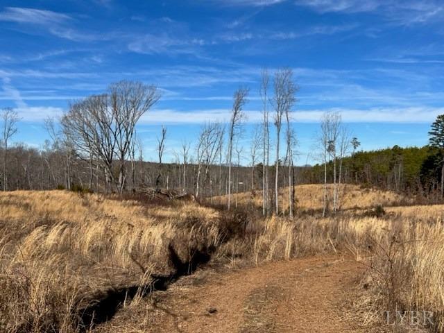 0 Oak Ridge Rd/ Colemans Mill Road Appomattox, VA 24522 - Photo 3 of 10 Gallery Image 3