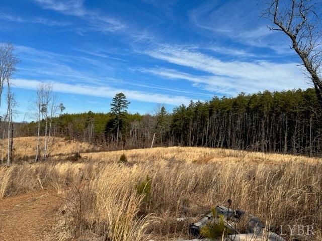 0 Oak Ridge Rd/ Colemans Mill Road Appomattox, VA 24522 - Photo 4 of 10 Gallery Image 4