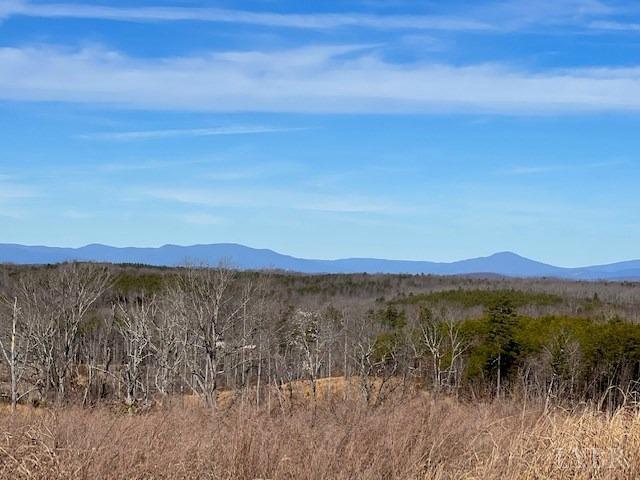 0 Oak Ridge Rd/ Colemans Mill Road Appomattox, VA 24522 - Photo 6 of 10 Gallery Image 6