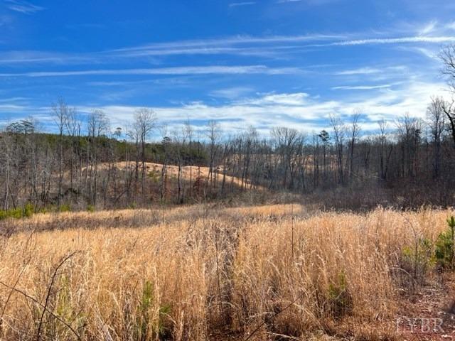 0 Oak Ridge Rd/ Colemans Mill Road Appomattox, VA 24522 - Photo 9 of 10 Gallery Image 9