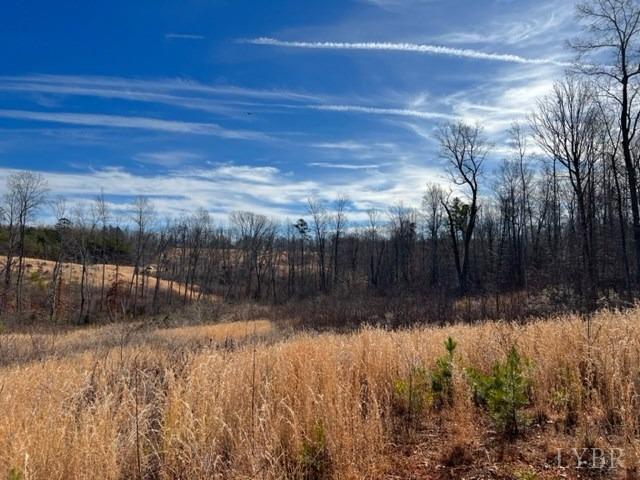 0 Oak Ridge Rd/ Colemans Mill Road Appomattox, VA 24522 - Photo 10 of 10 Gallery Image 10