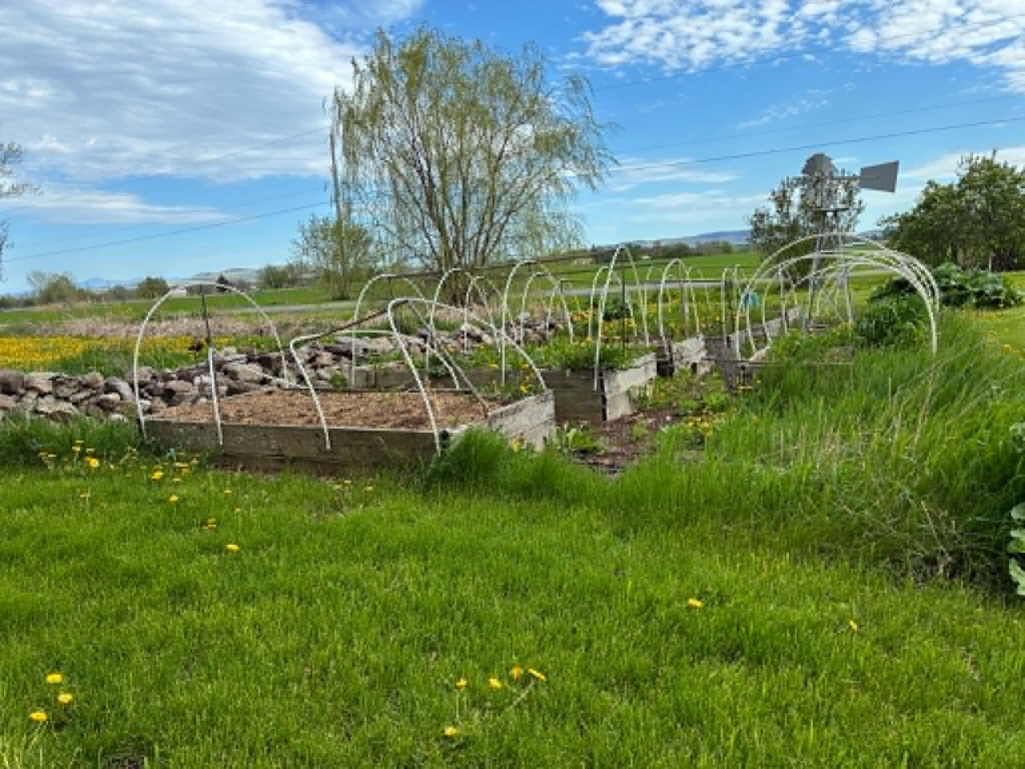 96 Davern Road Peru, NY 12972 - Photo 43 of 48 garden beds