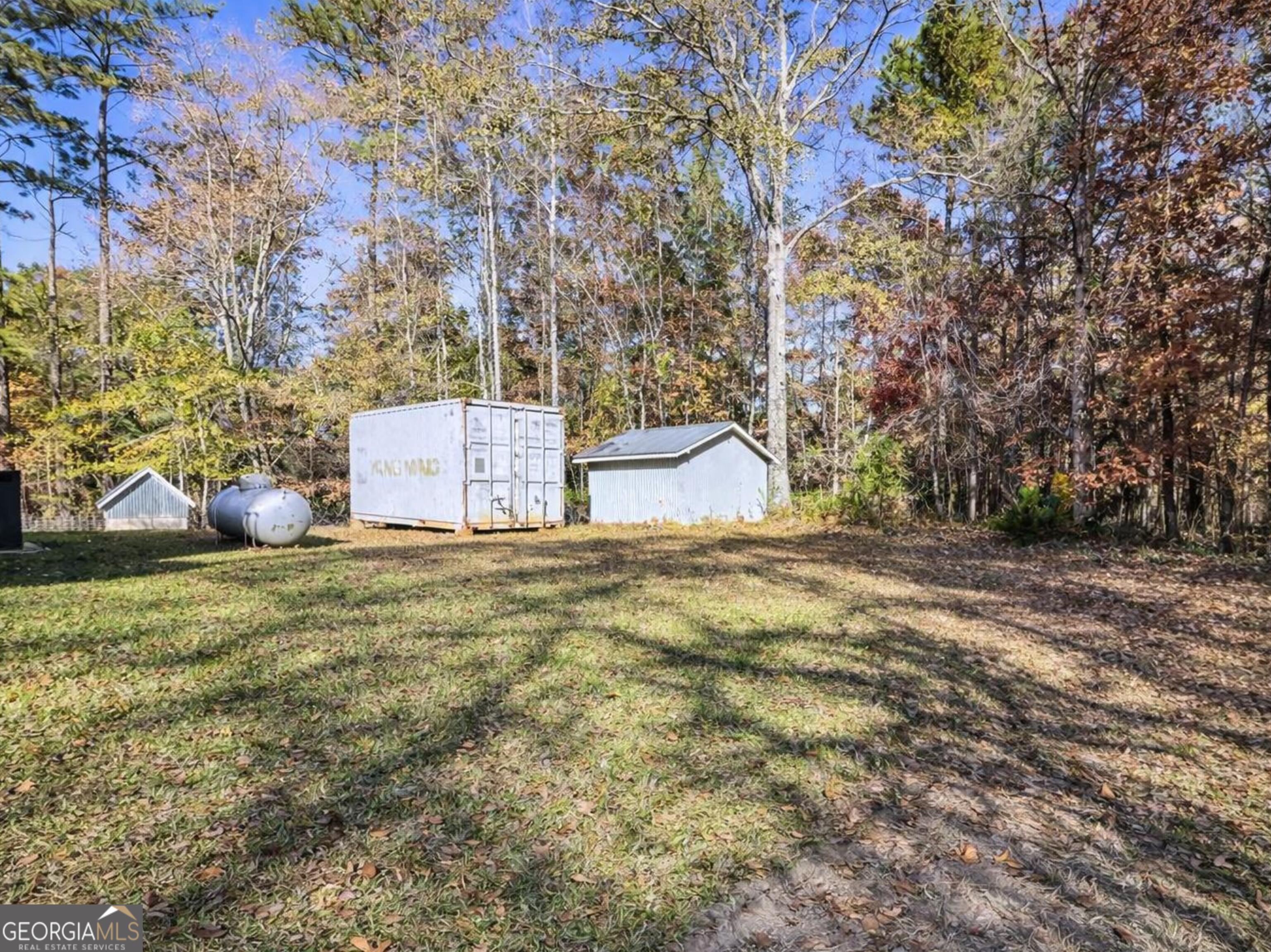 1335 Meadows Boone Road Luthersville, GA 30251 - Photo 18 of 20