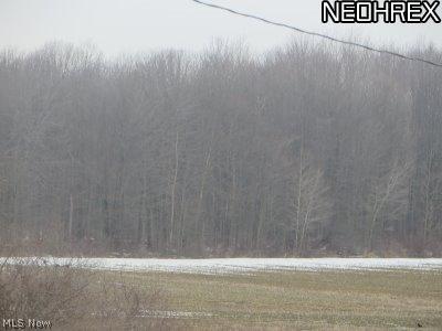 3789 Hayes Road Dorset, OH 44032 - Photo 12 of 12 Gallery Image 12